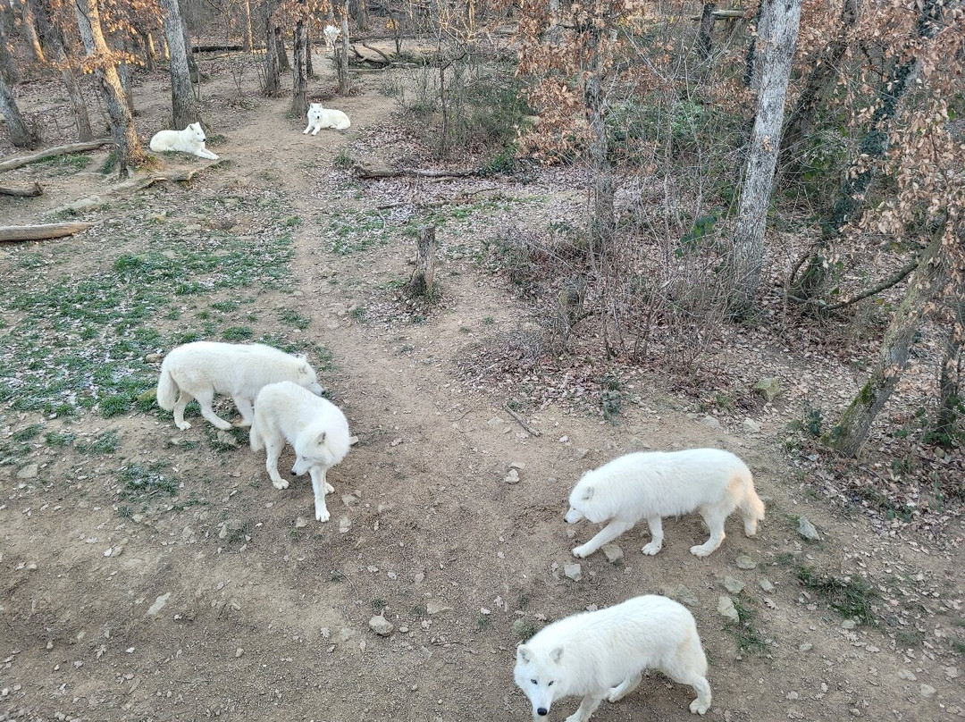 Safari De Peaugres-Peaugres必去景点