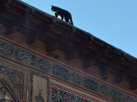 Sarhang Palace Hotel主图