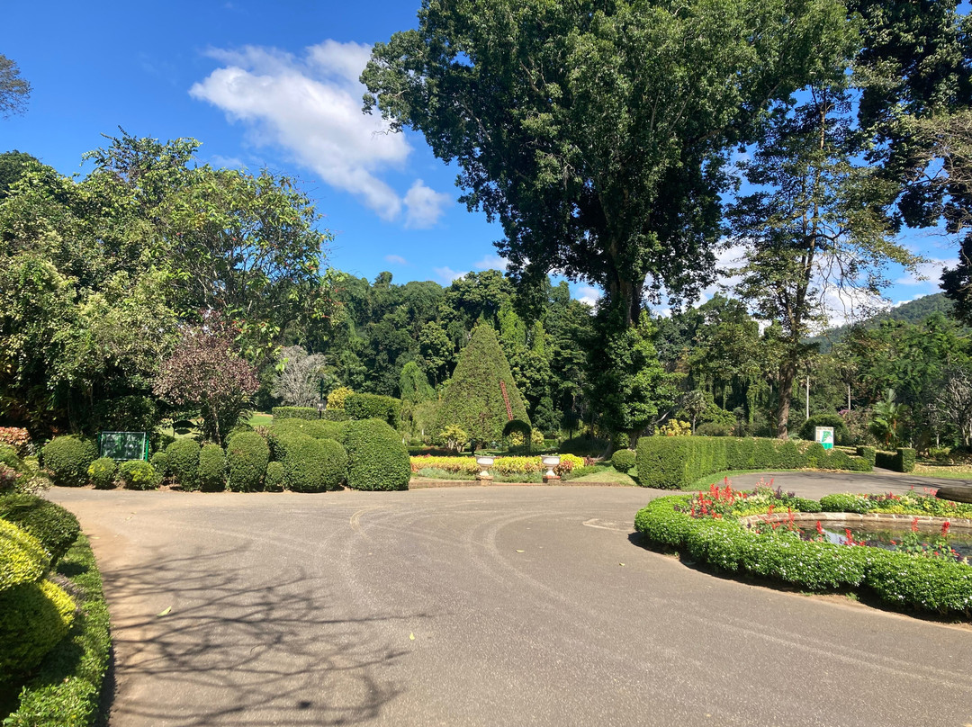 Royal Botanic Gardens Peradeniya