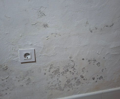 Hotel Plaza Grande主图