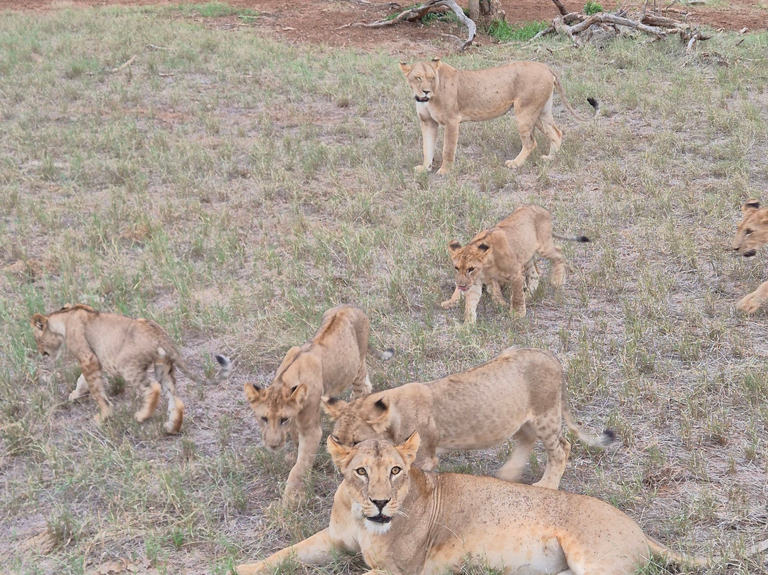 Discovery Kenya con Fragola-瓦塔木必去景点