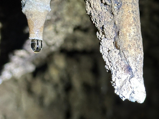 Colorado Bend State Park-Bend必去景点
