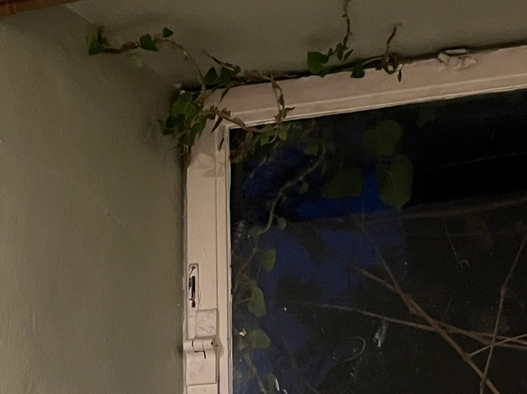 St Austell Brewery-圣奥斯特尔必去景点