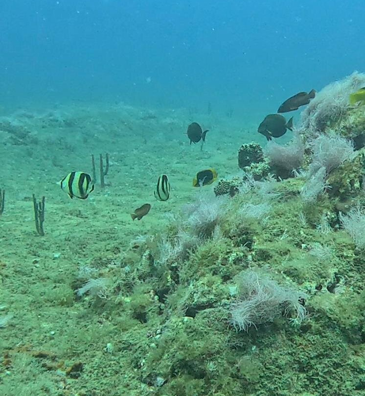 Boipeba Mergulho - Scuba Diving Center-Morere必去景点