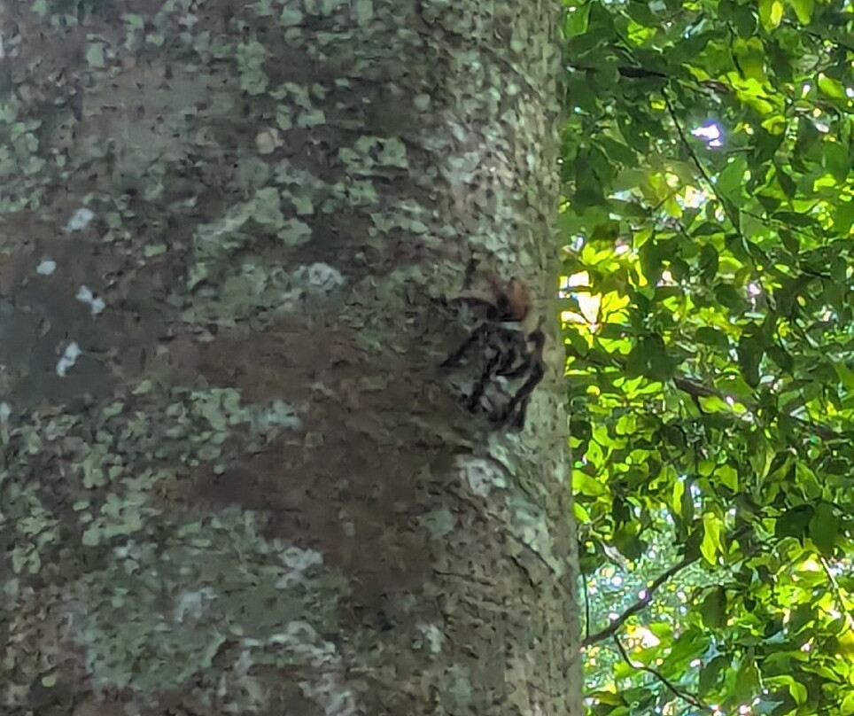 Cascade Couleuvre-Le Precheur必去景点