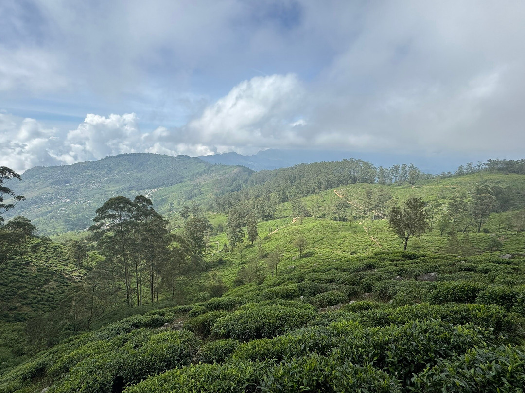 Paradise Island Safari-Gampola必去景点