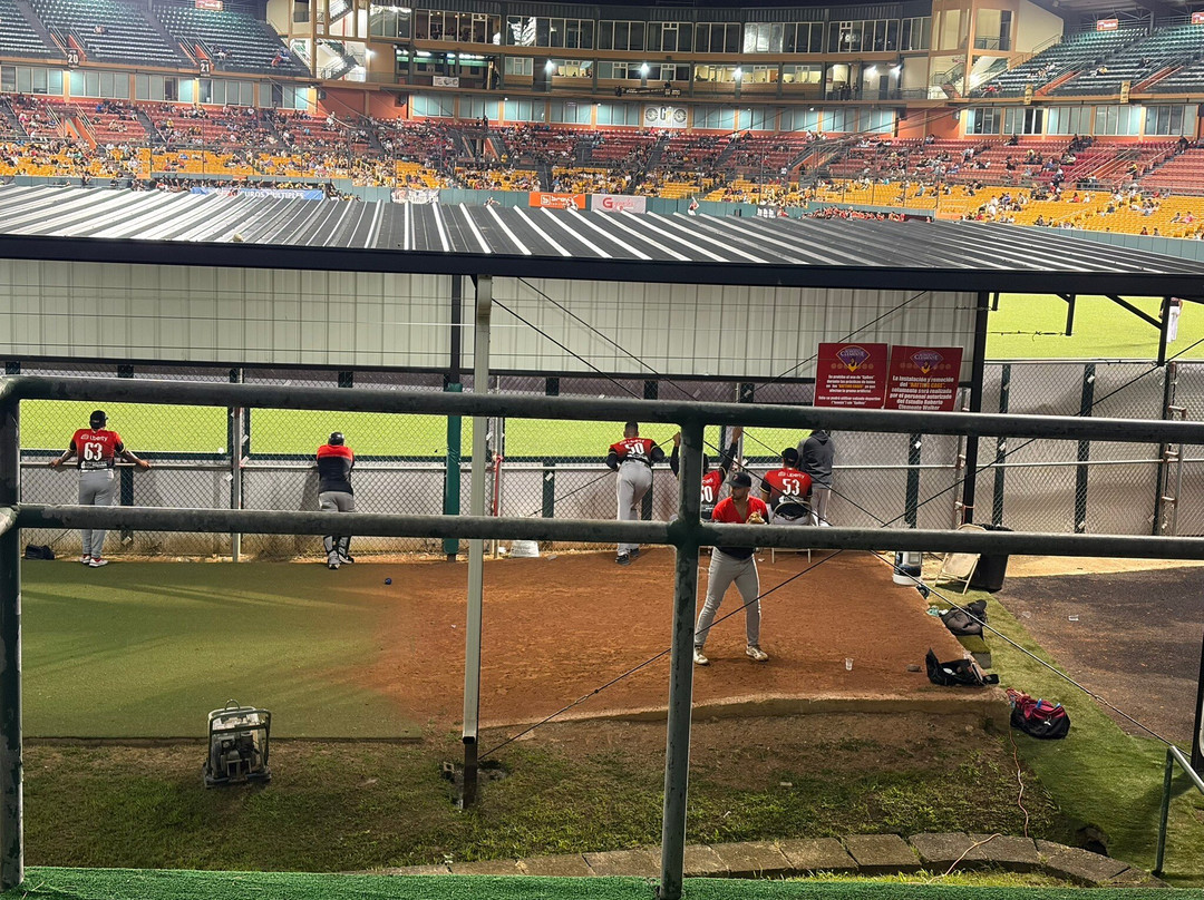 Estadia Roberto Clemente Walker-卡罗来纳必去景点