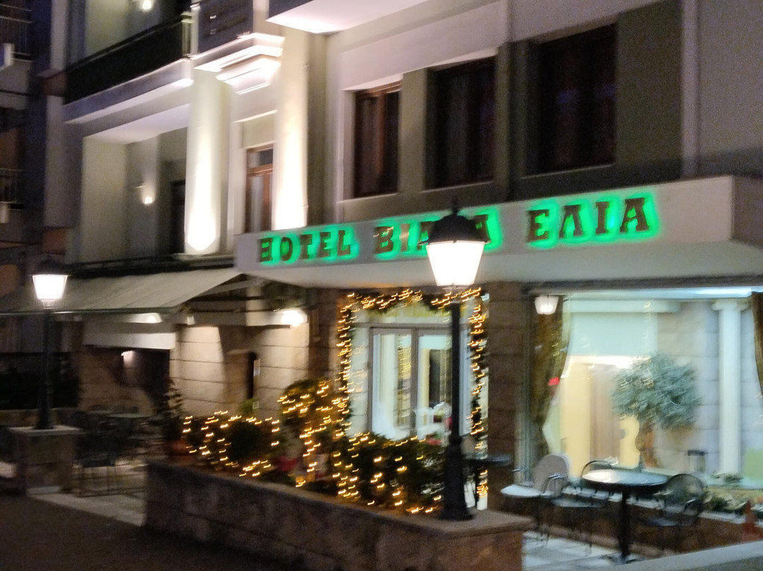 Hotel Villa Elia主图