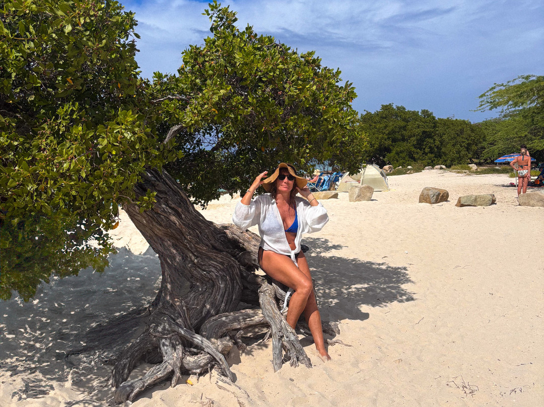 Divi Tree-Noord必去景点