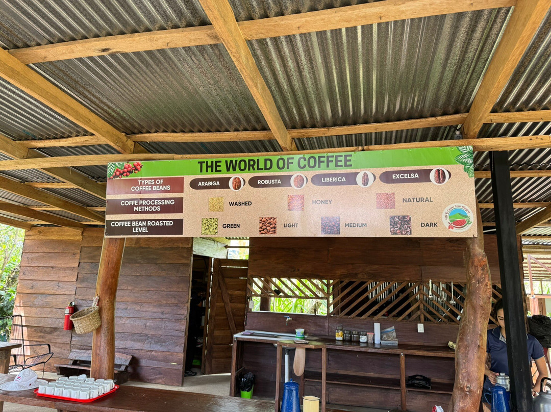 Cafe & Cacao Tour Bijagua-Bijagua de Upala必去景点