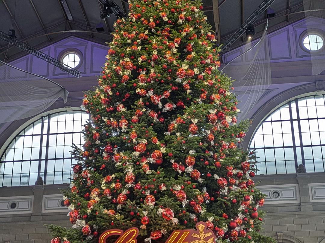 Echo Rails-卢塞恩必去景点