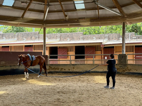 Centennial Equestrian-Moore Park必去景点
