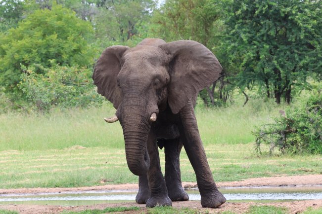 Senalala Safari Lodge-酒店景观