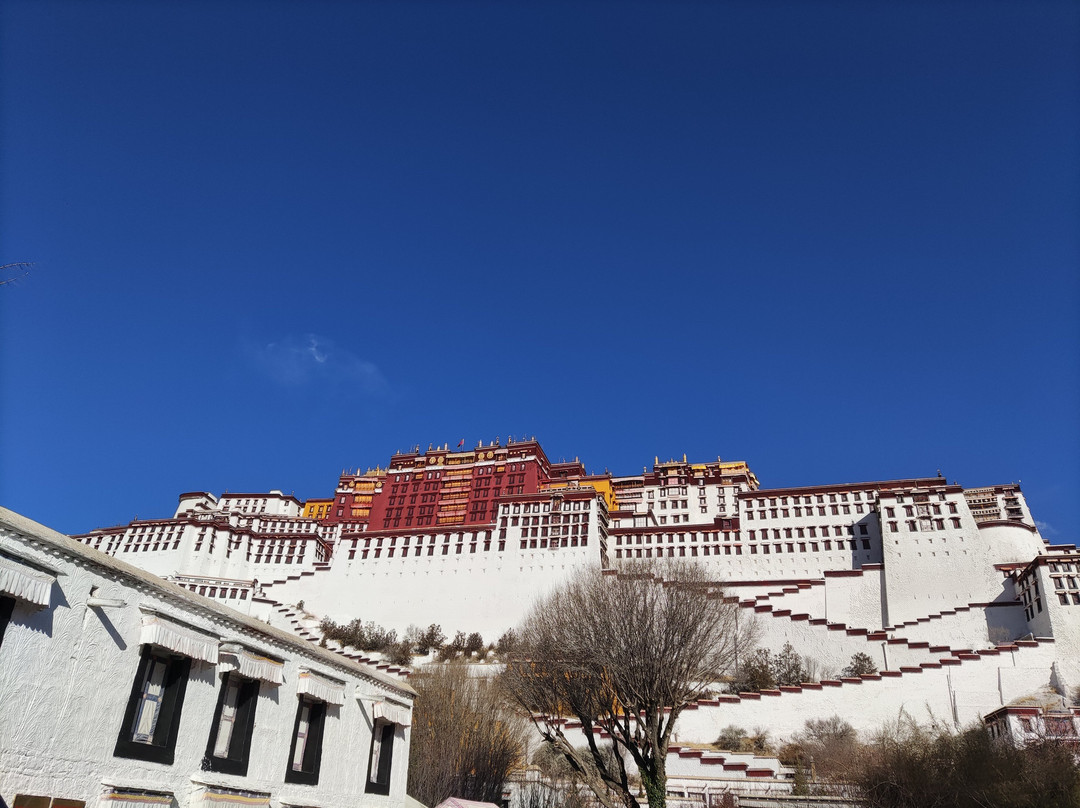 藏路旅游-拉萨市必去景点