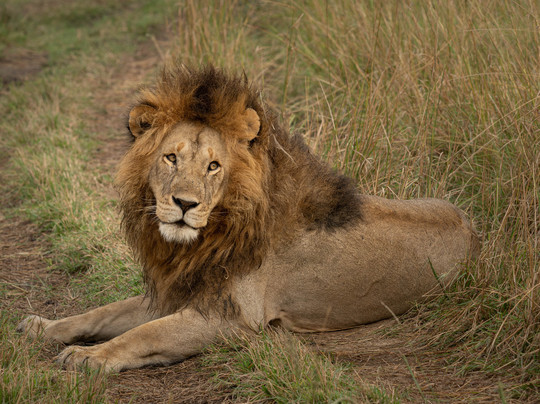 Wild Eye-弗维斯必去景点