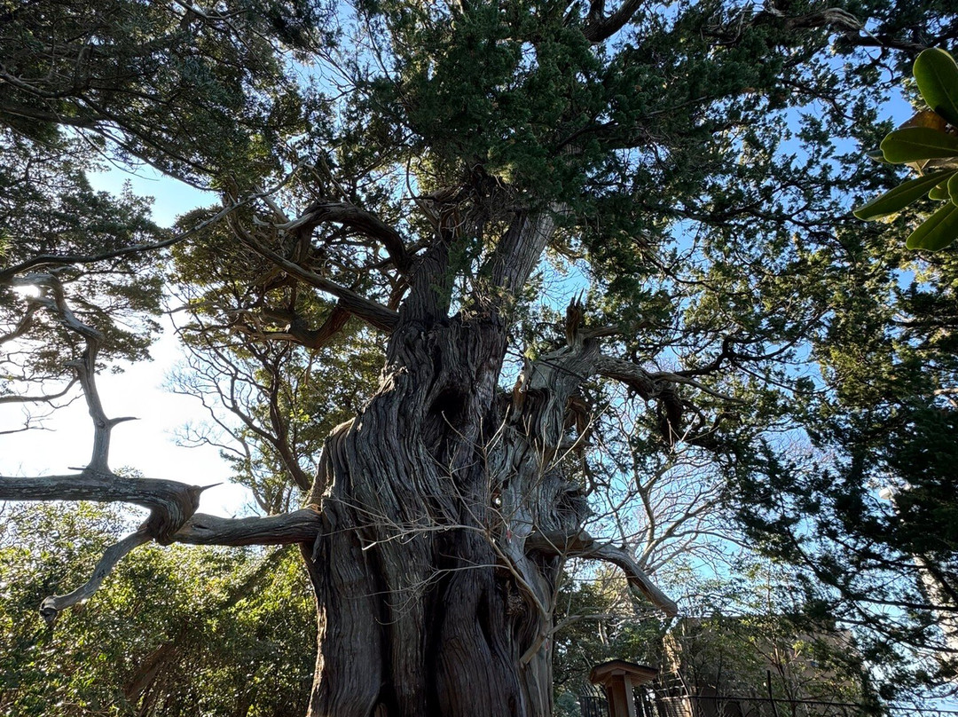 Ose Shrine-沼津市必去景点