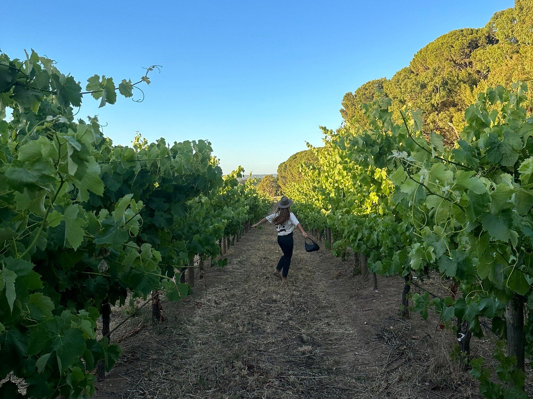 Down The Rabbit Hole Wines - Cellar Door & Restaurant-麦克拉伦谷必去景点