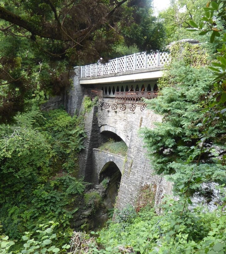Devil's Bridge Waterfalls-Devil's Bridge (Pontarfynach)必去景点