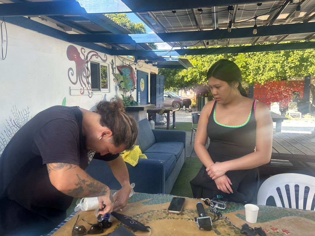 Aruba Bob Snorkel & Scuba-阿鲁巴岛必去景点