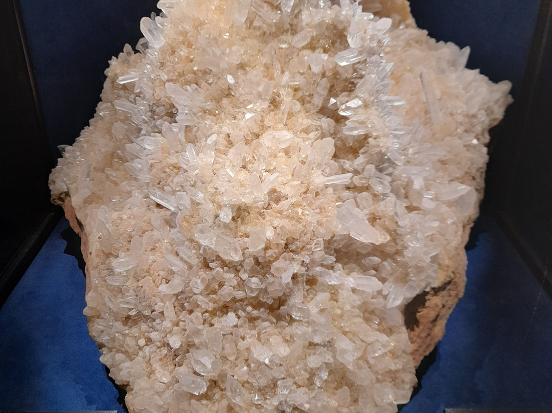 自然历史博物馆-斯德哥尔摩必去景点