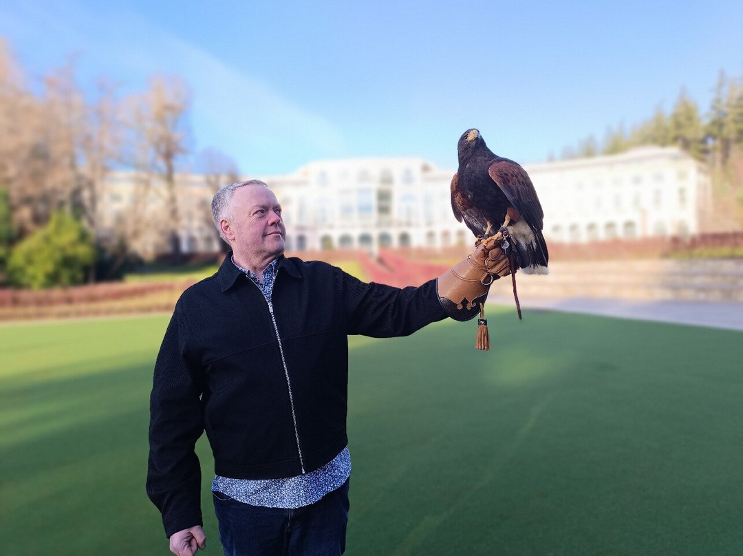 East Coast Falconry-County Wicklow必去景点
