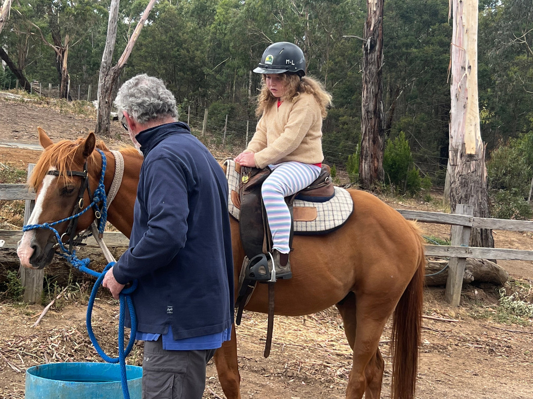 Spring Creek Horse Rides-贝尔布拉必去景点