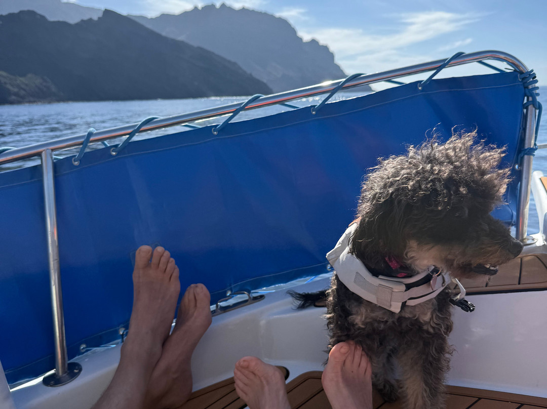 Excursiones Pura Vida-Valle Gran Rey必去景点