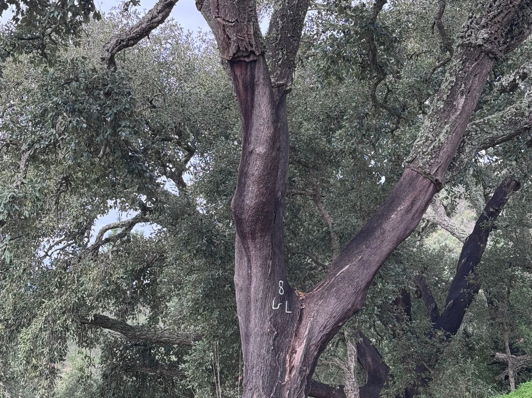 PerNatur - Nature Trails-奥良必去景点