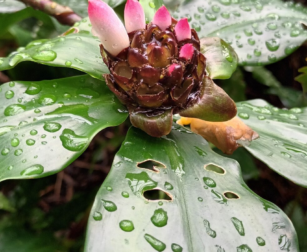 MUSE - Science Museum-特伦托必去景点