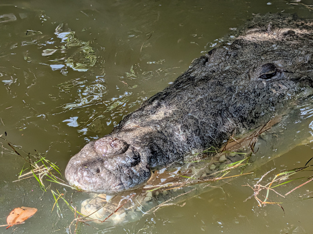 Taxi Personalizado-巴利亚多利德必去景点