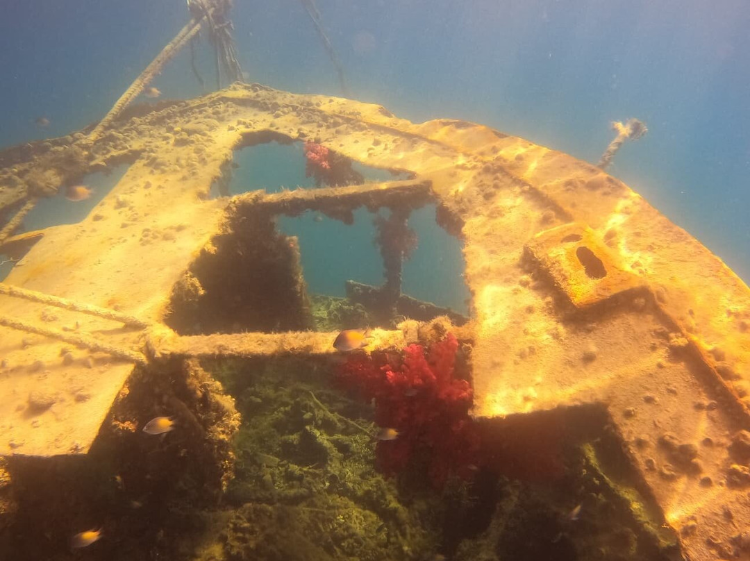 Delfinausflug Mit MO-赫尔格达必去景点