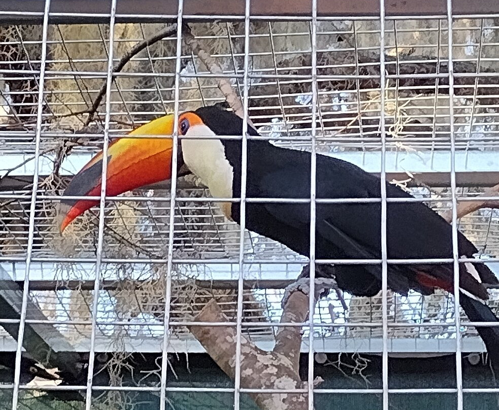 Chase Animal Rescue And Sanctuary-Webster必去景点