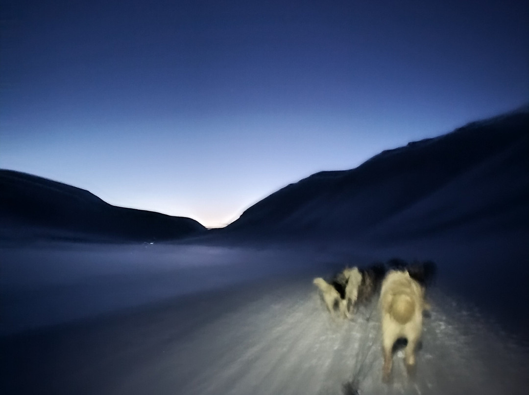 Green Dog Svalbard-朗伊尔城必去景点
