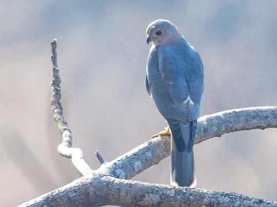 Jungle Buddies Tours-孟买必去景点