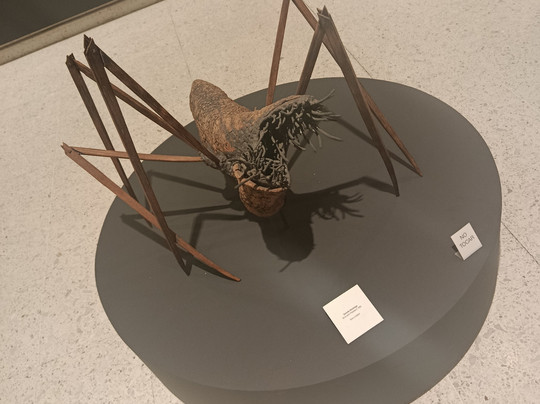 MUSA Museo de las Artes Universidad de Guadalajara-瓜达拉哈拉必去景点