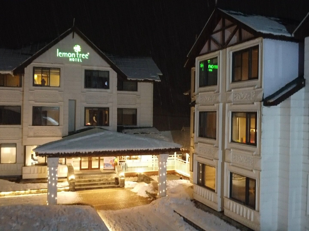 Lemon Tree Hotel, Sonamarg主图