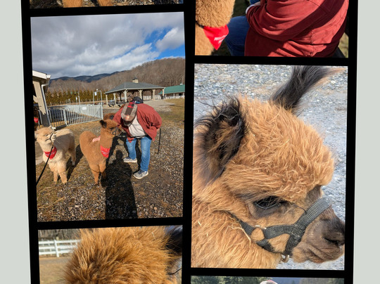 Winchester Creek Farm-韦恩斯维尔必去景点