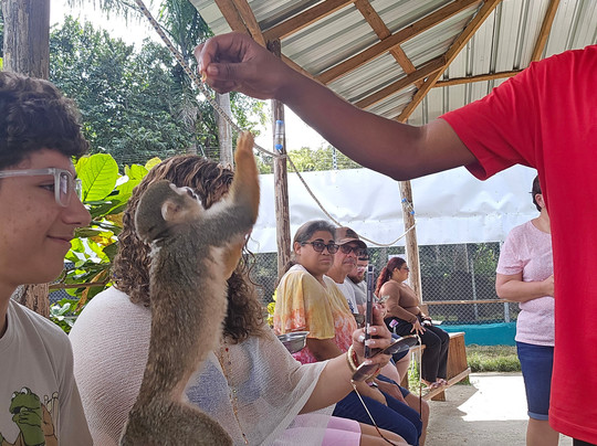 Monkey Home Puerto Plata-普拉塔港必去景点