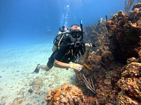 Ultra Marine Divers-蓬塔卡纳必去景点