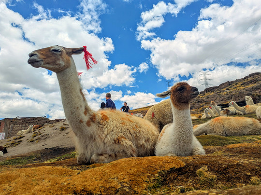 Transportes Turisticos Arequipa, Peru-Cayma必去景点