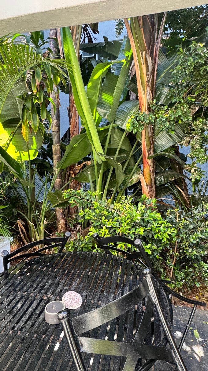 针叶树海滩楼酒店-官方