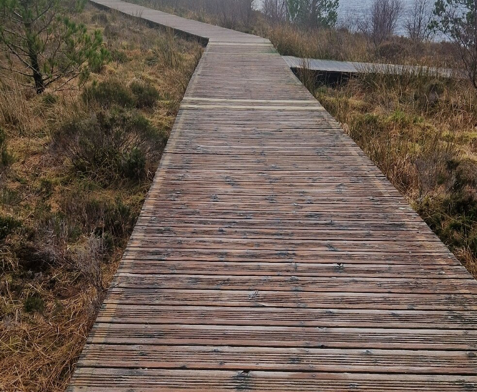 Aline Community Woodland Walks-斯托诺韦必去景点