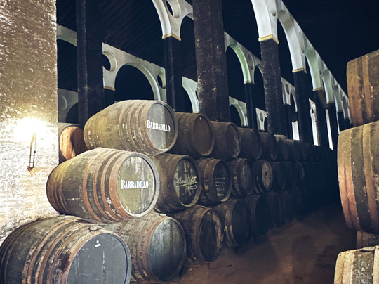 Bodegas Barbadillo-Sanlucar de Barrameda必去景点