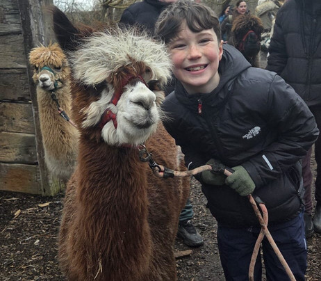 Nanny Sharon's Alpaca Farm C.I.C-Prenton必去景点