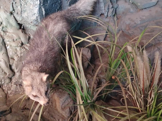 Interpretation Centre & Blyde Museum-Moremela必去景点