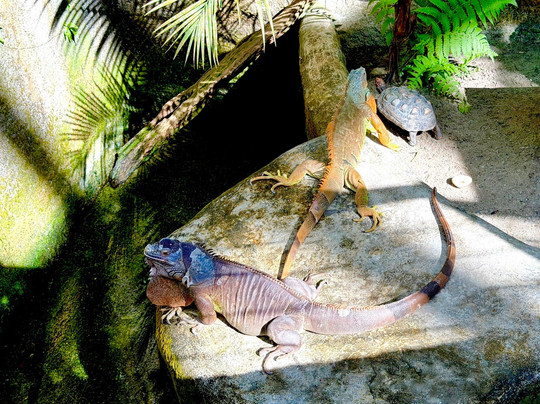 蟲鳴大地-巴巷海滩必去景点