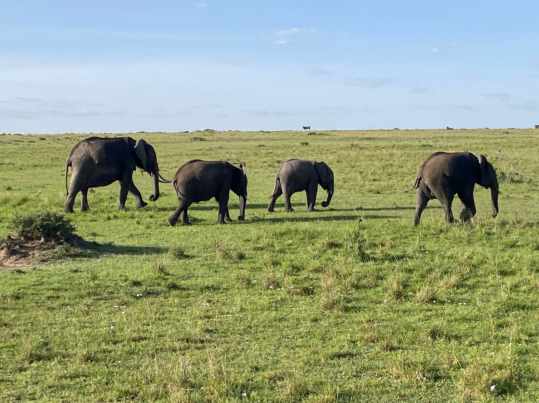 Safari Kenya Plus - Private Day Tour-马林地必去景点
