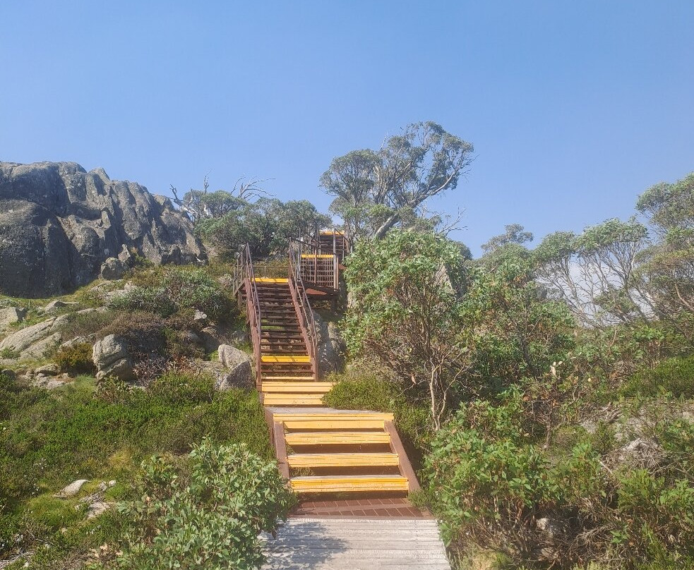 Snow Gums Boardwalk-Charlotte Pass必去景点
