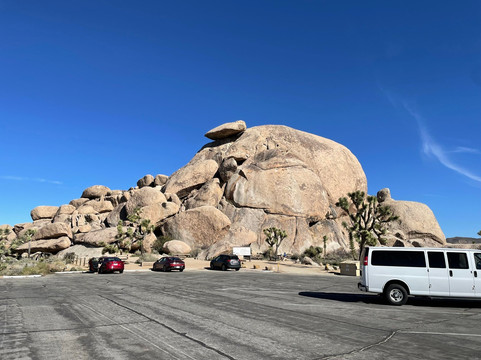 Cap Rock Trail-约书亚树国家公园必去景点