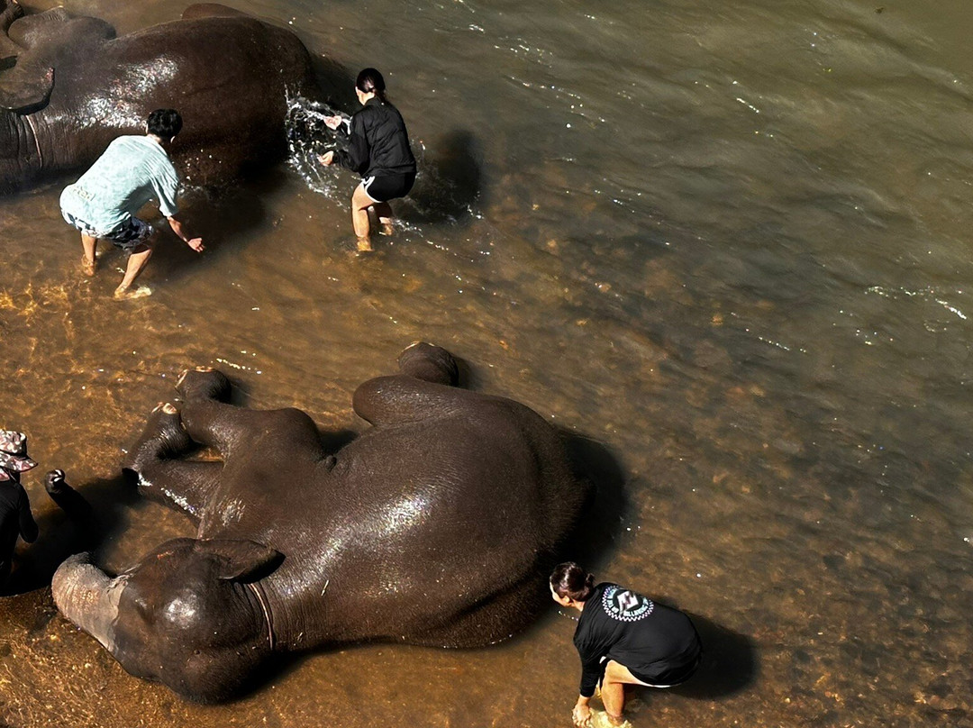Tawan Riverside - Elephant Resort